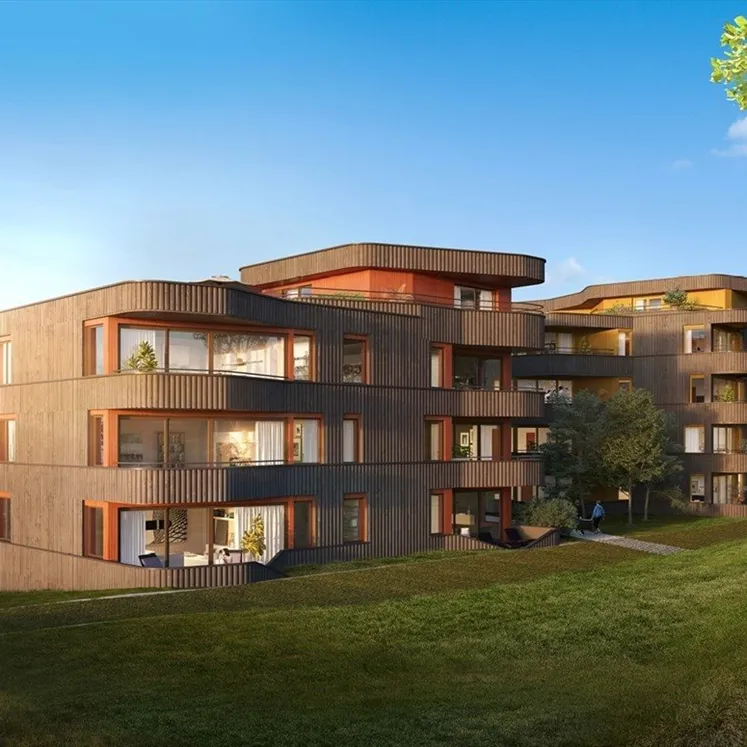 Husene%20i%20skogen3